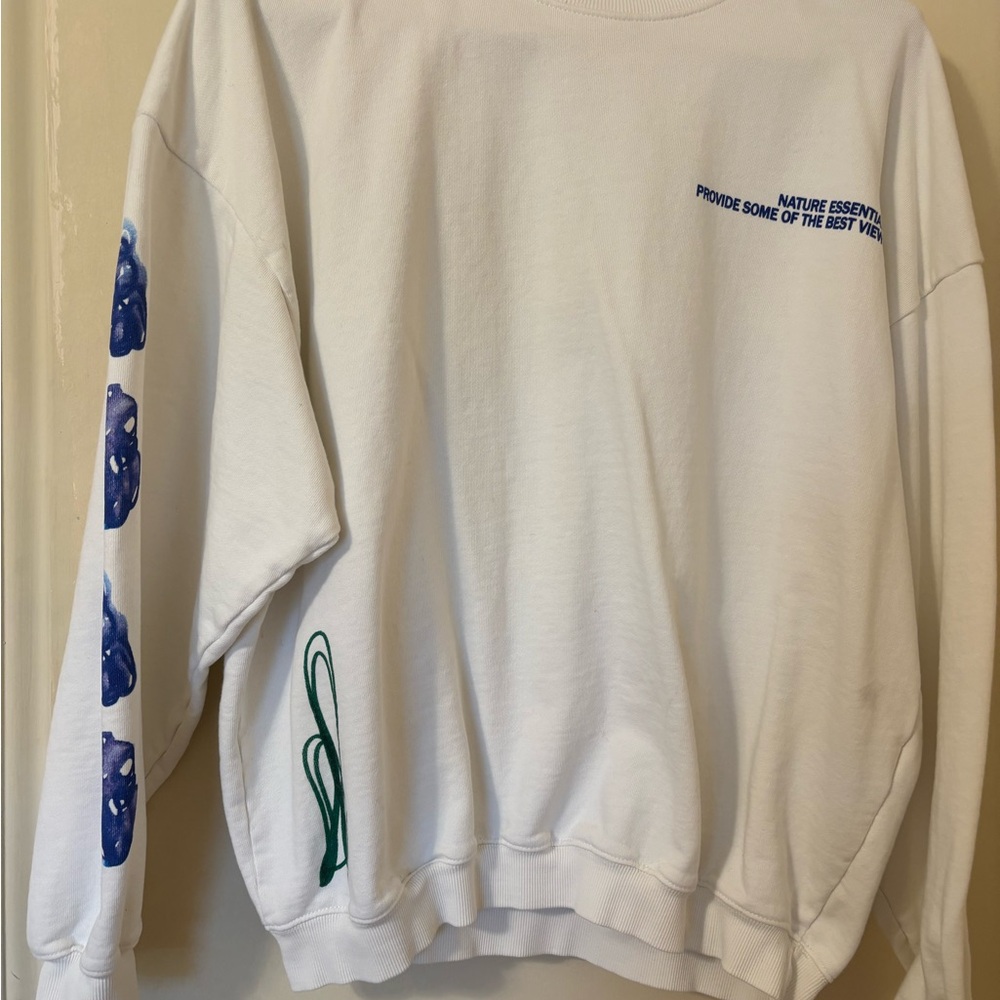 Zara White and Blue Graphic Men's Crewneck Sweater